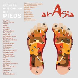 Reflexology zones soles of the feet