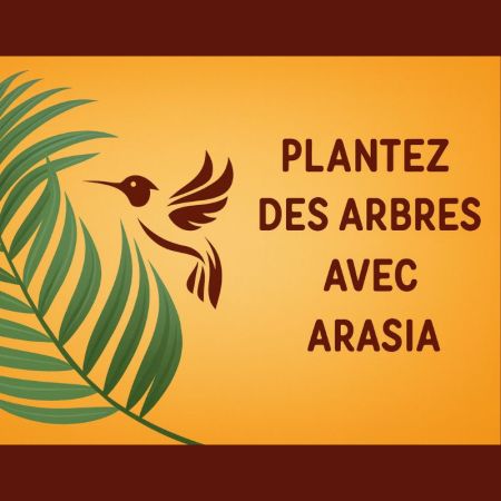 Plant a Tree - Arasia