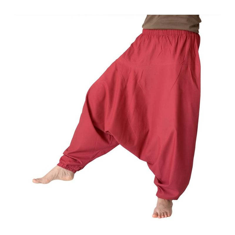 Aladdin Pants