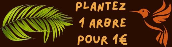 Plantez des arbres avec Arasia avec l'Opération 1euro = 1arbre