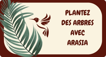 Projet de Reforestation Arasia